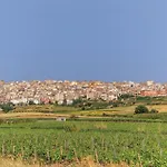 Belvedere *