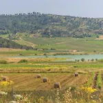 Belvedere Sambuca di Sicilia